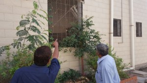 %d9%a2%d9%a0%d9%a1%d9%a7%d9%a1%d9%a1%d9%a2%d9%a9_%d9%a1%d9%a3%d9%a0%d9%a9%d9%a5%d9%a7