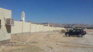 28124605_10156041615089454_1851996004_o