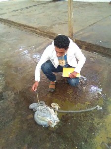 30704809_10156210576739454_1219816406221062144_n