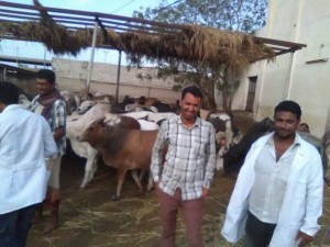 30708358_10156210574194454_6281081824324091904_n