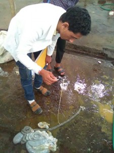 30713439_10156210578069454_3830012282771865600_n