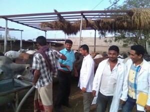 30715332_10156210575774454_3969468011152146432_n