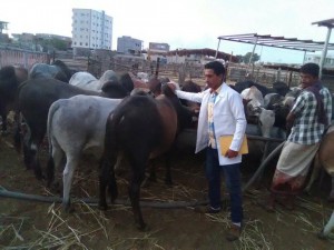 30738090_10156210576914454_1136243661265174528_n