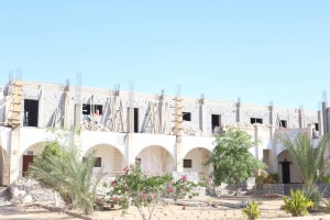 47686946_10156755988929454_3979504331815649280_n