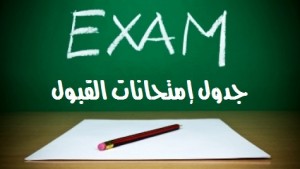 97a787f8d6fb66aaef15fa858aa433ea_L