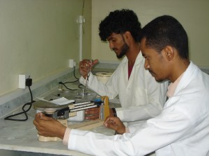 DSC04986